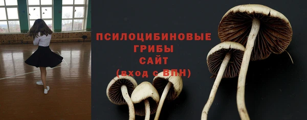 крисы Алзамай