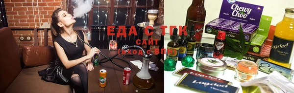 крисы Алзамай