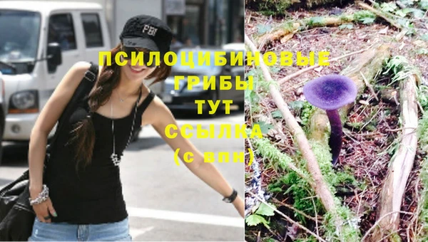 мяу мяу мука Семёнов