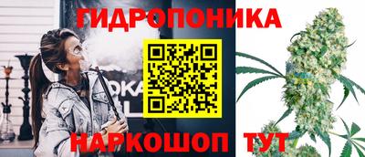 гидропоника Трёхгорный