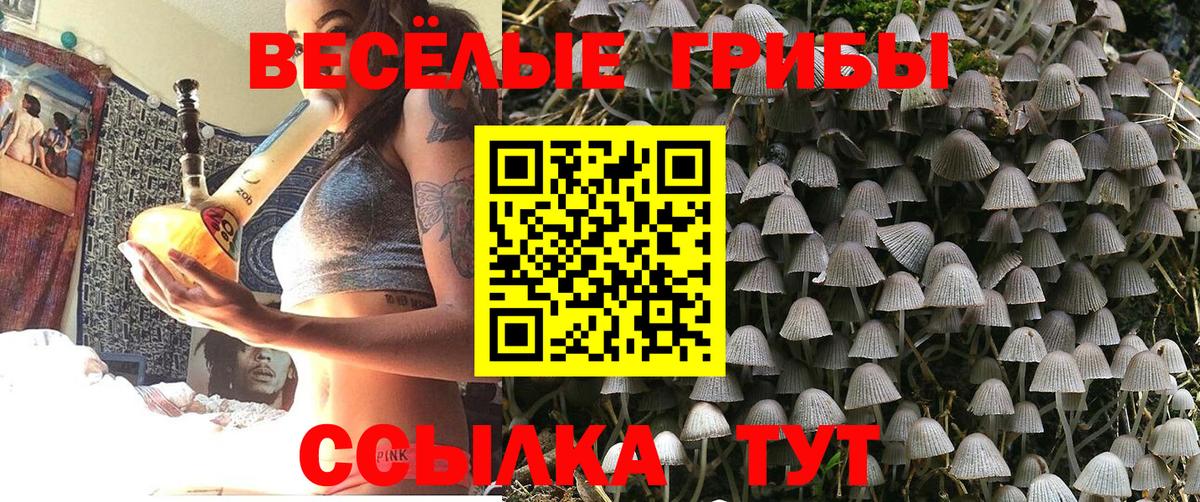 Галлюциногенные грибы Psilocybine cubensis  Вход с VPN  цены   Клин 